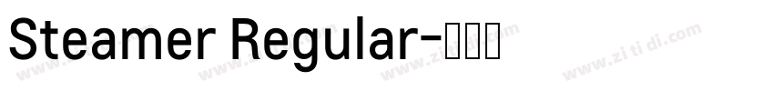Steamer Regular字体转换